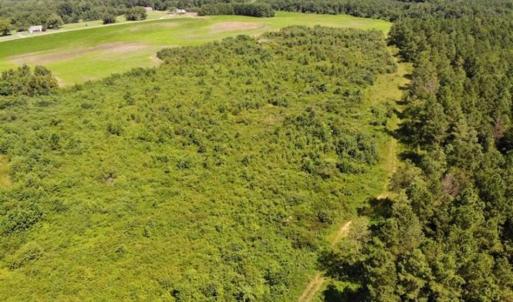 Photo of SOLD!!  9.08 Acres of Residential Farm Land For Sale in Halifax County NC!