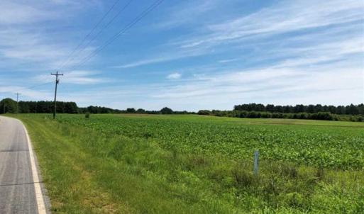 Photo of SOLD!!  9.06 Acres of Residential Farm Land For Sale in Halifax County NC!