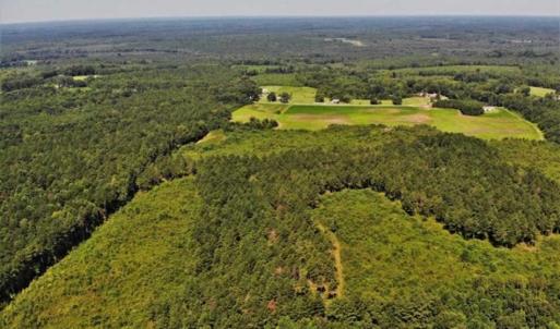 Photo of SOLD!!  9.06 Acres of Residential Farm Land For Sale in Halifax County NC!