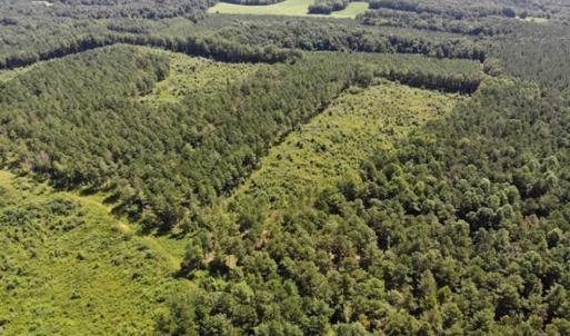 Photo of SOLD!!  9.06 Acres of Residential Farm Land For Sale in Halifax County NC!