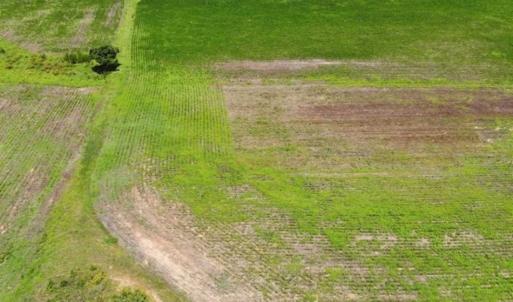 Photo of SOLD!!  9.06 Acres of Residential Farm Land For Sale in Halifax County NC!