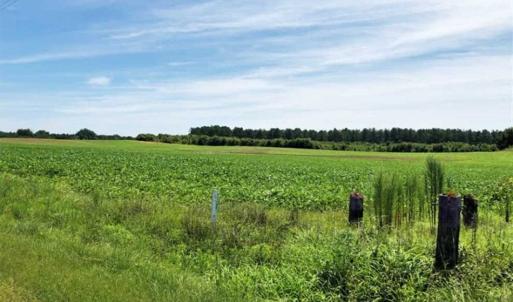 Photo of SOLD!!  9.06 Acres of Residential Farm Land For Sale in Halifax County NC!