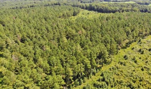 Photo of SOLD!!  9.06 Acres of Residential Farm Land For Sale in Halifax County NC!