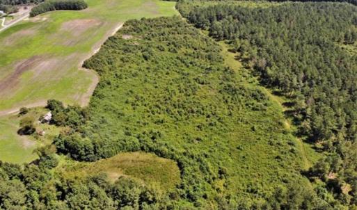 Photo of SOLD!!  9.06 Acres of Residential Farm Land For Sale in Halifax County NC!