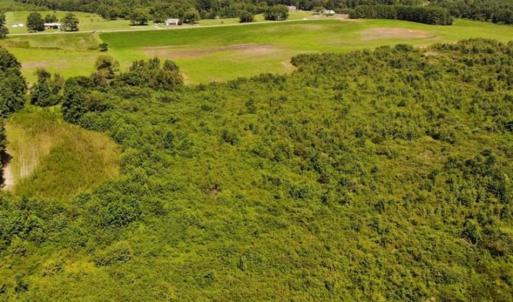Photo of SOLD!!  9.06 Acres of Residential Farm Land For Sale in Halifax County NC!