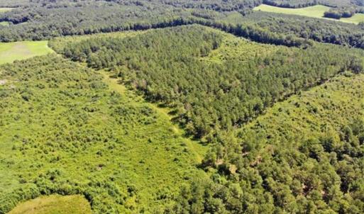 Photo of SOLD!!  9.06 Acres of Residential Farm Land For Sale in Halifax County NC!