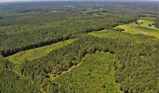 Photo of SOLD!!  9.06 Acres of Residential Farm Land For Sale in Halifax County NC!