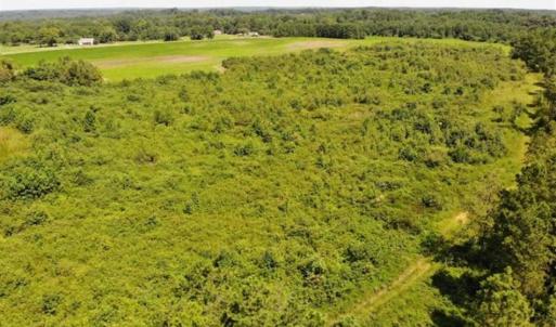 Photo of SOLD!!  9.06 Acres of Residential Farm Land For Sale in Halifax County NC!