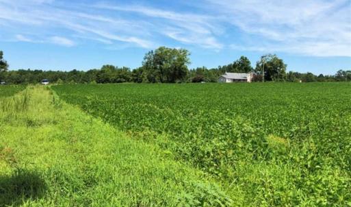 Photo of SOLD!!  9.06 Acres of Residential Farm Land For Sale in Halifax County NC!