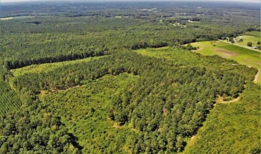 Photo of SOLD!!  9.06 Acres of Residential Farm Land For Sale in Halifax County NC!