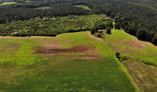Photo of SOLD!!  9.06 Acres of Residential Farm Land For Sale in Halifax County NC!