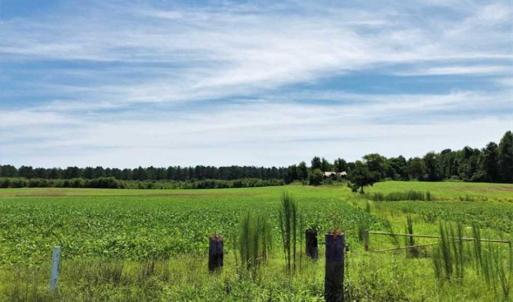 Photo of SOLD!!  9.06 Acres of Residential Farm Land For Sale in Halifax County NC!
