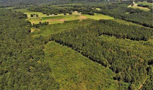 Photo of SOLD!!  9.06 Acres of Residential Farm Land For Sale in Halifax County NC!