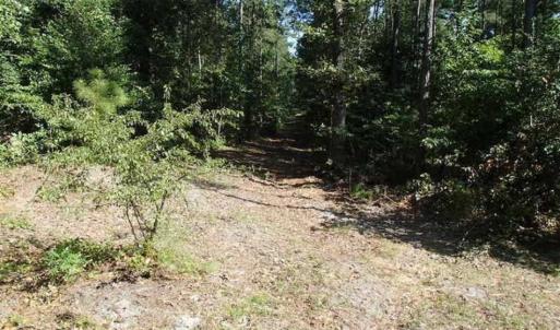Photo of SOLD!!  121 Acres of Recreational Land For Sale in Northampton County NC!