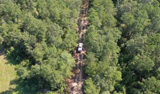 Photo of SOLD!!  121 Acres of Recreational Land For Sale in Northampton County NC!