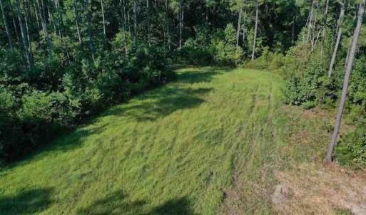 Photo of SOLD!!  121 Acres of Recreational Land For Sale in Northampton County NC!