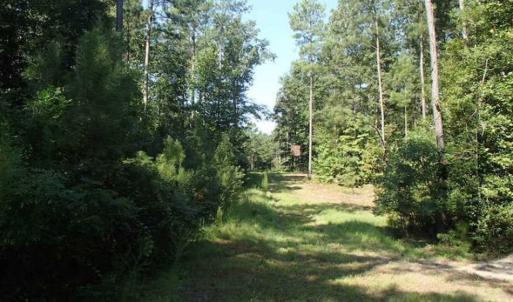 Photo of SOLD!!  121 Acres of Recreational Land For Sale in Northampton County NC!