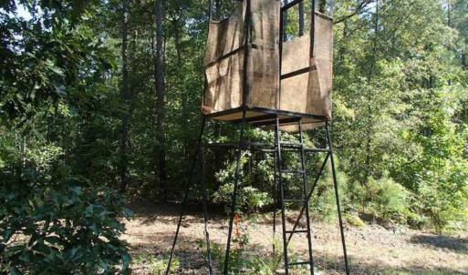 Photo of SOLD!!  121 Acres of Recreational Land For Sale in Northampton County NC!