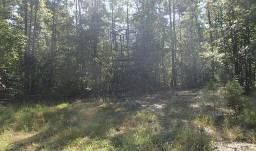 Photo of SOLD!!  121 Acres of Recreational Land For Sale in Northampton County NC!