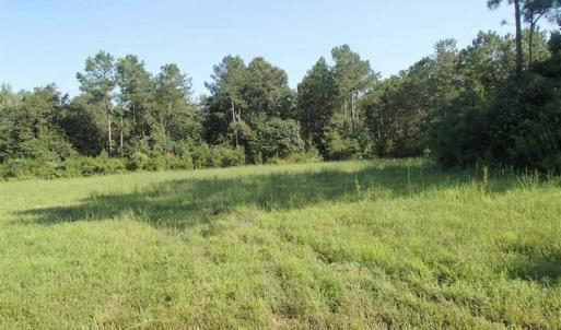Photo of SOLD!!  121 Acres of Recreational Land For Sale in Northampton County NC!