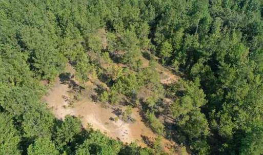 Photo of SOLD!!  121 Acres of Recreational Land For Sale in Northampton County NC!