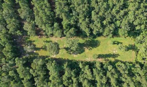 Photo of SOLD!!  121 Acres of Recreational Land For Sale in Northampton County NC!