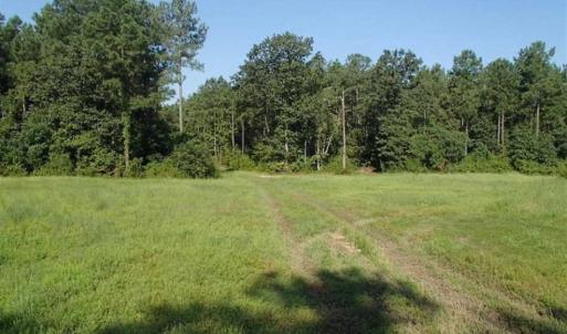 Photo of SOLD!!  121 Acres of Recreational Land For Sale in Northampton County NC!