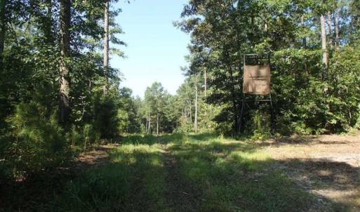 Photo of SOLD!!  121 Acres of Recreational Land For Sale in Northampton County NC!