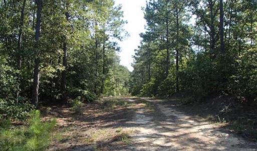 Photo of SOLD!!  121 Acres of Recreational Land For Sale in Northampton County NC!