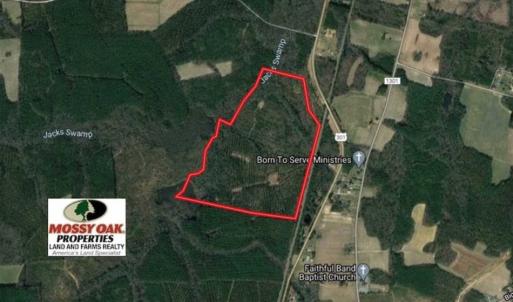 Photo of SOLD!!  121 Acres of Recreational Land For Sale in Northampton County NC!
