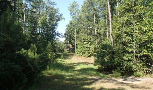Photo of SOLD!!  121 Acres of Recreational Land For Sale in Northampton County NC!