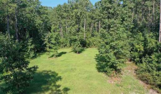 Photo of SOLD!!  121 Acres of Recreational Land For Sale in Northampton County NC!