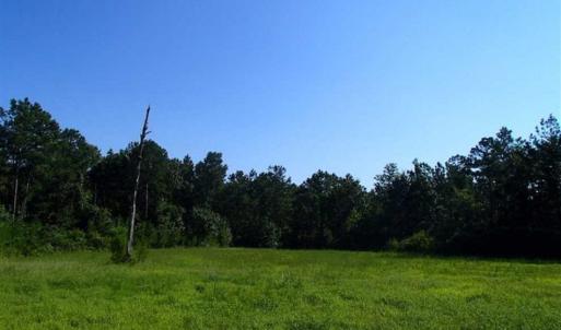 Photo of SOLD!!  121 Acres of Recreational Land For Sale in Northampton County NC!