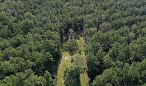 Photo of SOLD!!  121 Acres of Recreational Land For Sale in Northampton County NC!