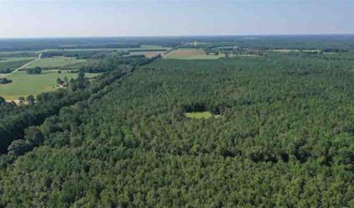 Photo of SOLD!!  121 Acres of Recreational Land For Sale in Northampton County NC!