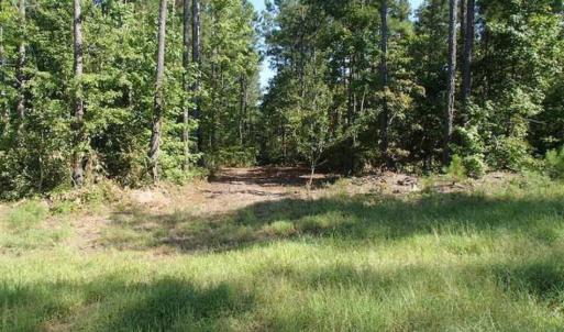 Photo of SOLD!!  121 Acres of Recreational Land For Sale in Northampton County NC!