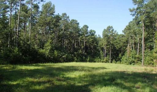 Photo of SOLD!!  121 Acres of Recreational Land For Sale in Northampton County NC!