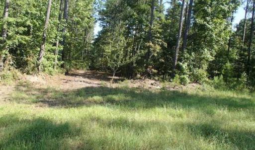 Photo of SOLD!!  121 Acres of Recreational Land For Sale in Northampton County NC!