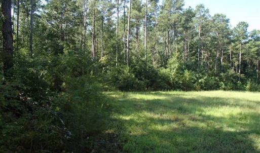 Photo of SOLD!!  121 Acres of Recreational Land For Sale in Northampton County NC!