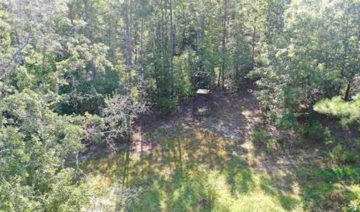 Photo of SOLD!!  121 Acres of Recreational Land For Sale in Northampton County NC!
