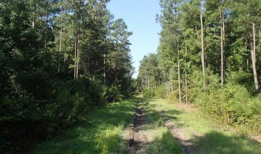 Photo of SOLD!!  121 Acres of Recreational Land For Sale in Northampton County NC!