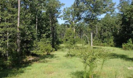 Photo of SOLD!!  121 Acres of Recreational Land For Sale in Northampton County NC!