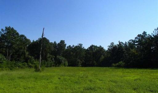 Photo of SOLD!!  121 Acres of Recreational Land For Sale in Northampton County NC!