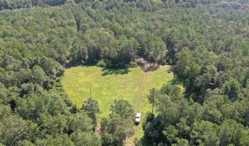 Photo of SOLD!!  121 Acres of Recreational Land For Sale in Northampton County NC!