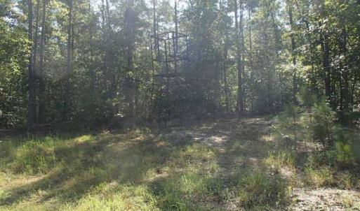 Photo of SOLD!!  121 Acres of Recreational Land For Sale in Northampton County NC!