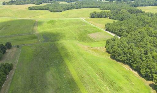 Photo of UNDER CONTRACT!! 12.35 +/- Acres of Residential Land with Homesite For Sale in Alamance County NC!