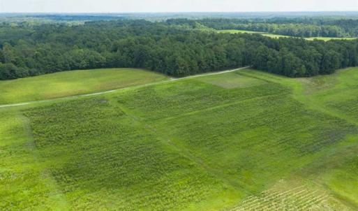 Photo of UNDER CONTRACT!! 12.35 +/- Acres of Residential Land with Homesite For Sale in Alamance County NC!