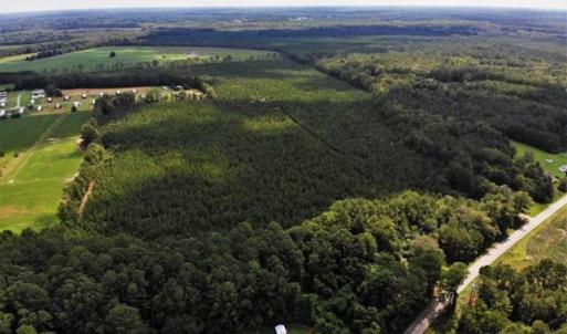 Photo of SOLD!!  105 Acres of Hunting and Timber Land For Sale in Northampton County NC!