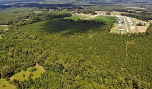 Photo of SOLD!!  105 Acres of Hunting and Timber Land For Sale in Northampton County NC!