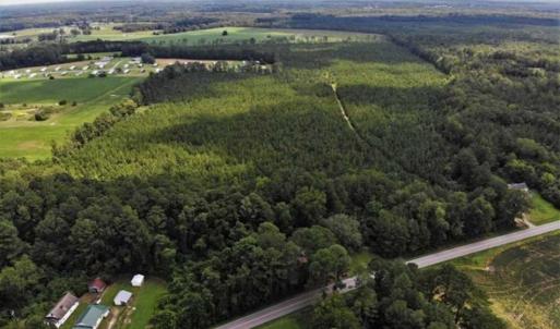 Photo of SOLD!!  105 Acres of Hunting and Timber Land For Sale in Northampton County NC!
